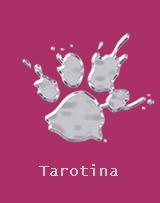 Tarotina Tarotina