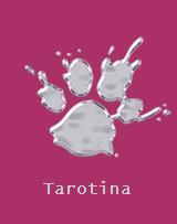 Tarotina