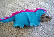 Perkysaurus Perkysaurus's Avatar